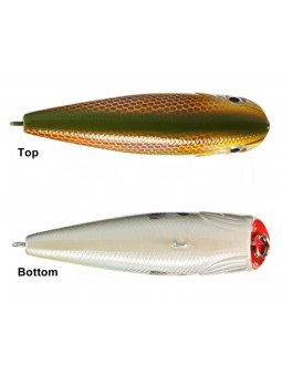 Bass Pro Shops Popper XTS Speed
